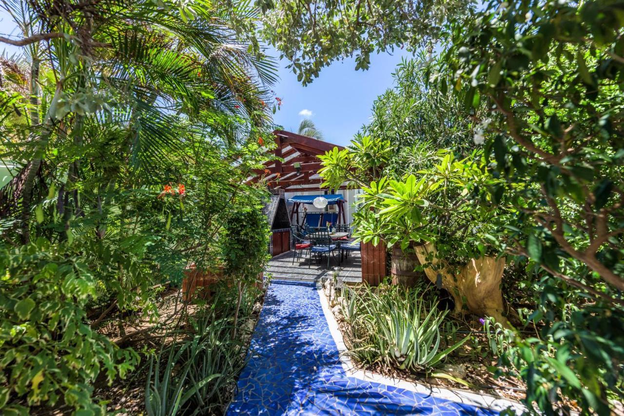 Sunflower Villa Studios Palm Beach Exteriér fotografie