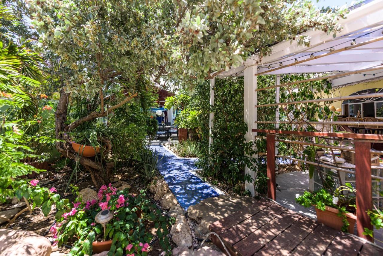 Sunflower Villa Studios Palm Beach Exteriér fotografie
