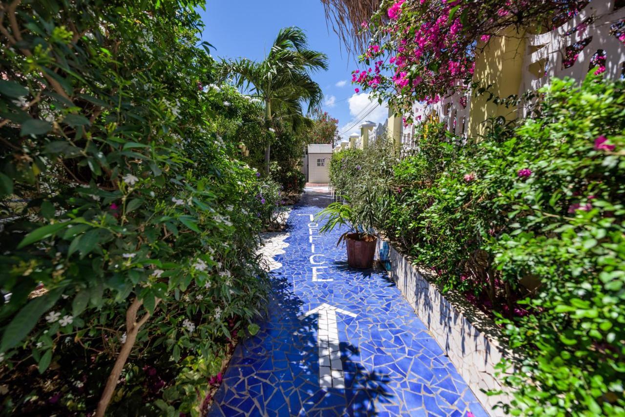 Sunflower Villa Studios Palm Beach Exteriér fotografie